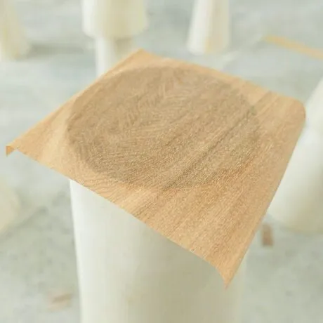 Wood Veneer