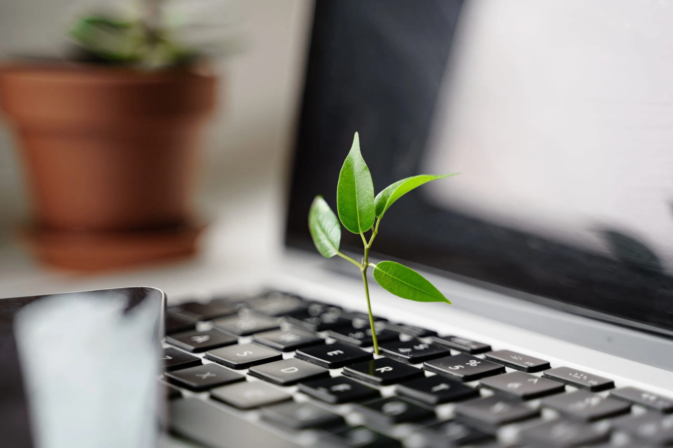 Digital Sustainability Tech Carbon Footprint