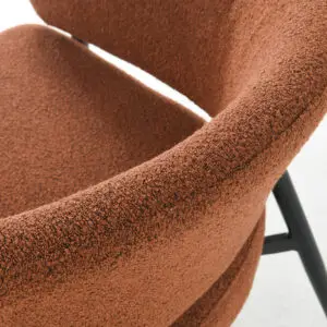 cozy brown leisure chair